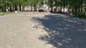 Мончегорск, фонтан