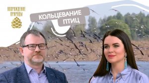 Кольцевание птиц | Наша природа с Натальей Торнквист