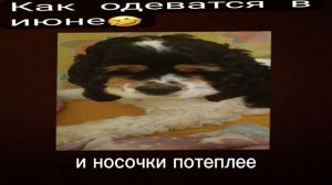 Новый монтаж! Чарлик#