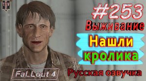 Нашли кролика. Fallout 4. #253. Прохождение. Выживание. Русская озвучка.