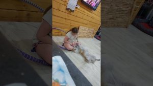 Наша новая жизнь в новом доме