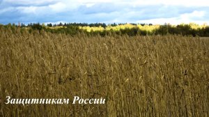 Защитникам отечества