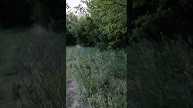 Тамбовская глубинка)))