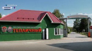 Собирают урожай овощей круглый год. Как устроена работа претендента на звание "Достояние губернии"