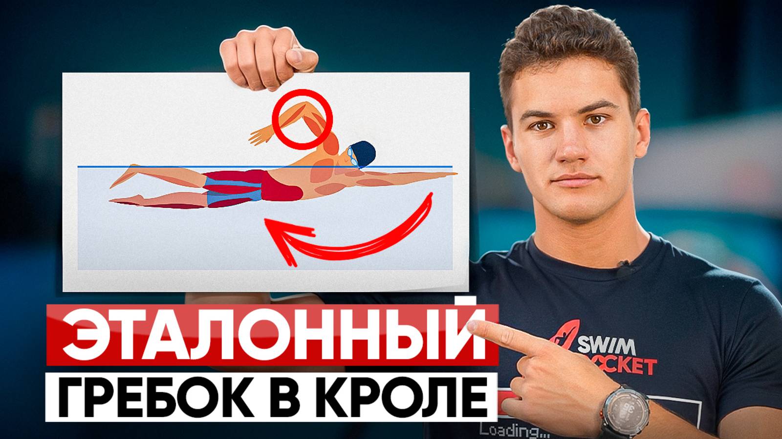Вот почему твой кроль медленный! 3 фазы идеального гребка