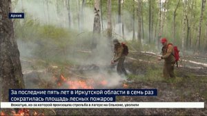 За последние пять лет в Иркутской области в семь раз сократилась площадь лесных пожаров