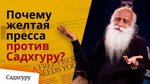 Почему желтые медиа против Садхгуру