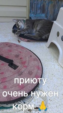 +7985 193 0027 сбер элплат