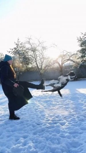 Вот что умеет этот замечательный пёсик 👏🐶🤩❤️