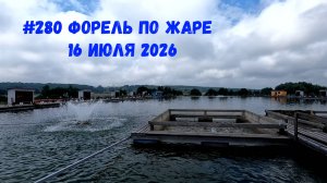 #280 Ловим форель в жару 16 июля 2025
