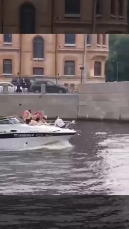 Когда плывёт на катере в Петербурге берегите голову