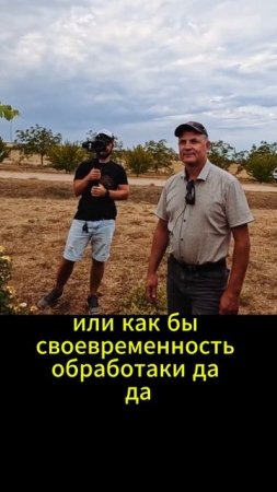 Розы не для красоты