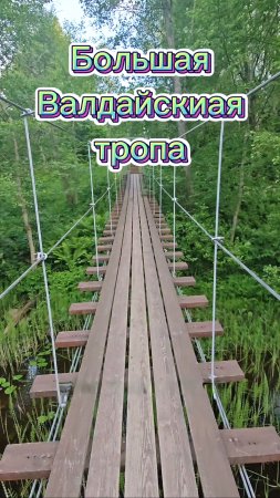 Большая Валдайская тропа