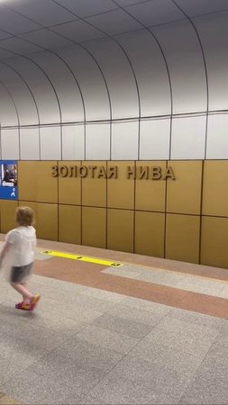 Метро Золотая Нива Новосибирск Октябрьский район Сибирь Жилье Недвижимость Новостройки Переезд ПМЖ
