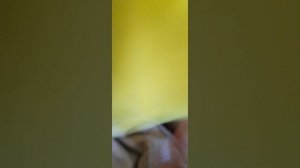трейлер Война игрушек# по мотивам соболя 54к# официальный трейлер