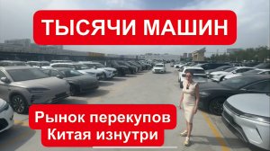 Лиса рулит - подборы, топ авто и советы
