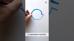 ПРИКОЛЫ нашего ЗРЕНИЯ — Научпок #шортс