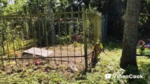 Тверская область, Бежецкий район сельское поселение Константиново кладбище Загорье. 16.07.2025