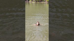 сезон купания с хомяками 2