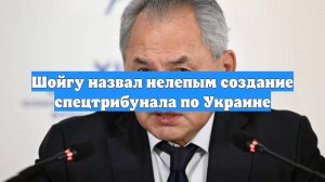 Шойгу назвал нелепым создание спецтрибунала по Украине
