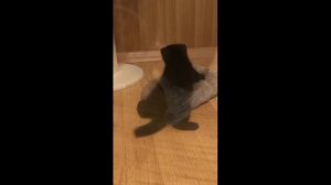 А так мило все начиналось...