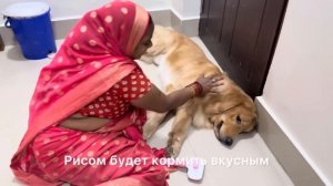 Доношу до семьи азы правильного питания, но ничего не получается. В Индии ПП не актуально