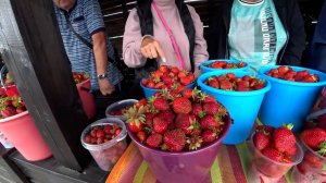 Клубничные Берега Байкала