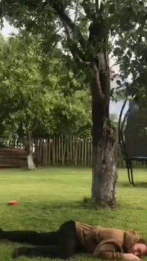 Кирпичом в голову!