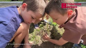 Красный обоз: детский дом Луганска