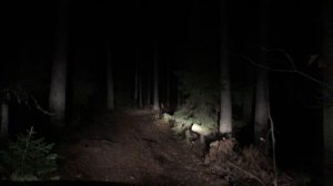 Дорога у Видовой площадки на реке Нерская