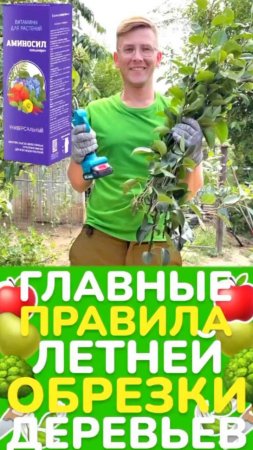 🌿 Как правильно обрезать и подкормить растения для лучшего роста