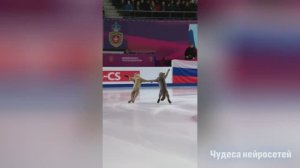 Кошачья олимпиада
