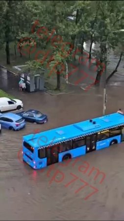 Москва, ул. Пришвина