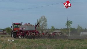 Невзрачный сорняк стал причиной карантина в регионе