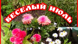 Красивая песня ВЕСЁЛЫЙ ИЮЛЬ. Песня про лето, цветы.