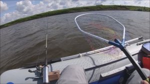 HONDA BF 20 Троллинг река Ока trolling for catfish