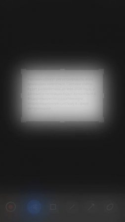 шаман раху  эивотные