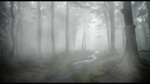 И, как всегда, бродягу кормит шпага...