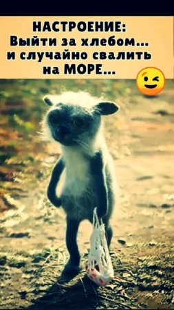 #настроение