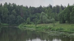 Волгуша