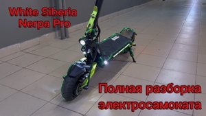 White Siberia Nerpa полная разборка электросамоката.
