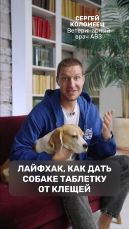Лайфхак, как дать собаке таблетку от клещей