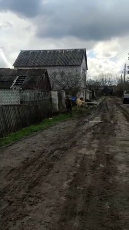 Погулять решил Василий.