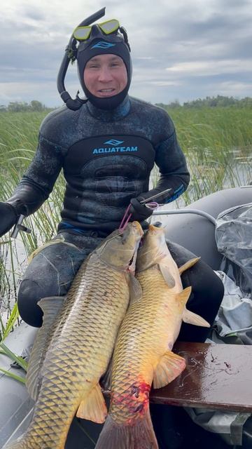 Так мне еще не везло. Подводная охота на Сазана в Башкирии. смотреть онлайн