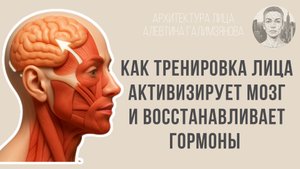 Что происходит с мозгом и гормонами во время тренировки