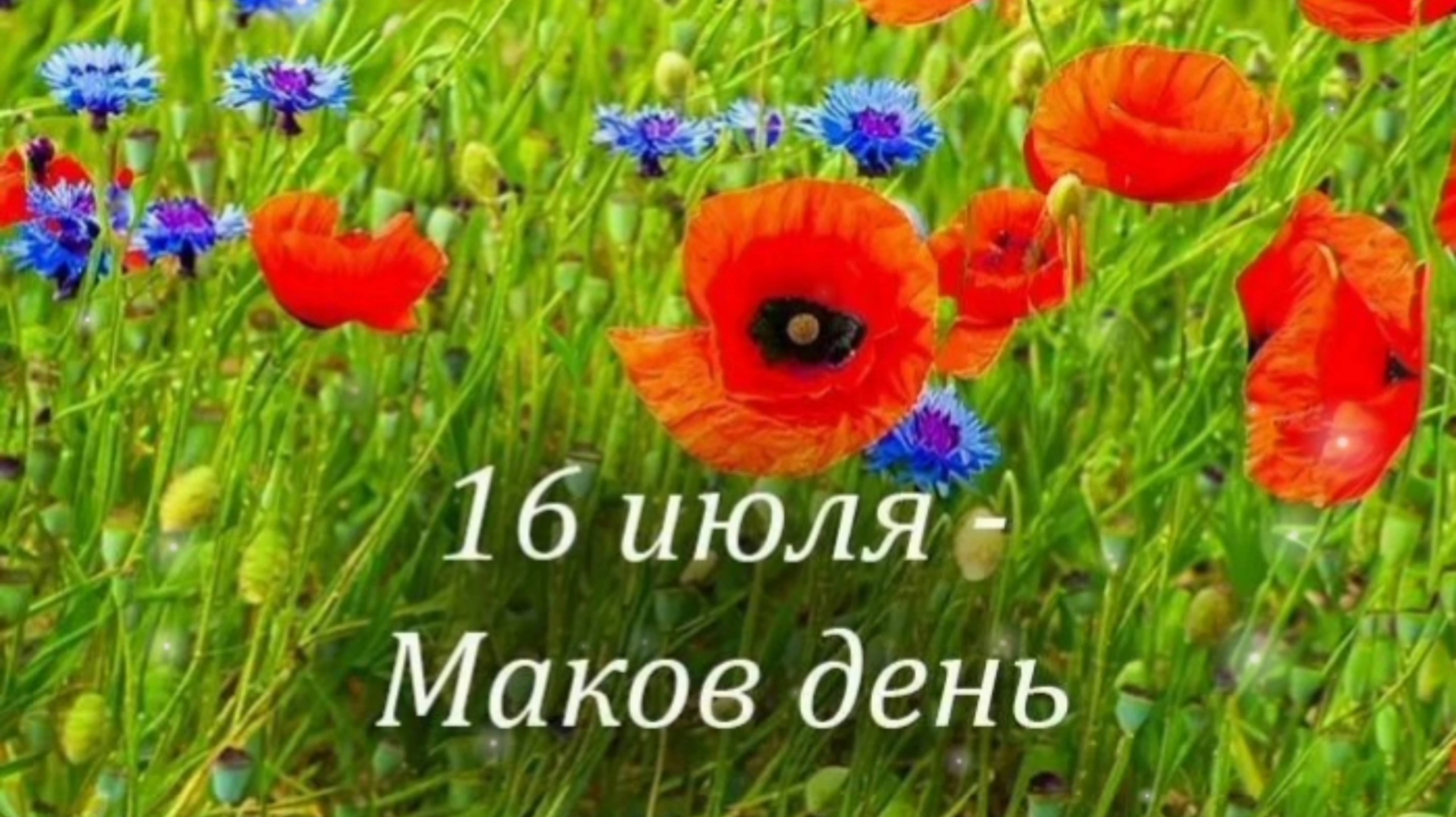 16 ИЮЛЯ- МАКОВ ДЕНЬ. КРАСИВЫЙ ПРАЗДНИК🎉🎊🎁