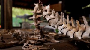 Мечта, изменившая историю. Генрих Шлиман и поиски Трои