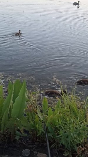 1001540824.mp4