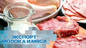 Россия нарастила экспорт молочной и мясной продукции в первой половине 2025 года