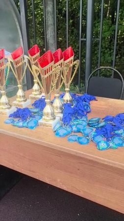 12.07.2025, Московская обл., пос. Старый городок, 2015/16 г.р.